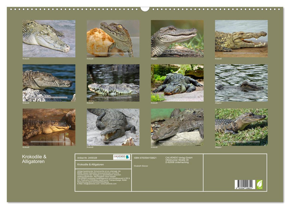 Krokodile & Alligatoren (CALVENDO Wandkalender 2027)