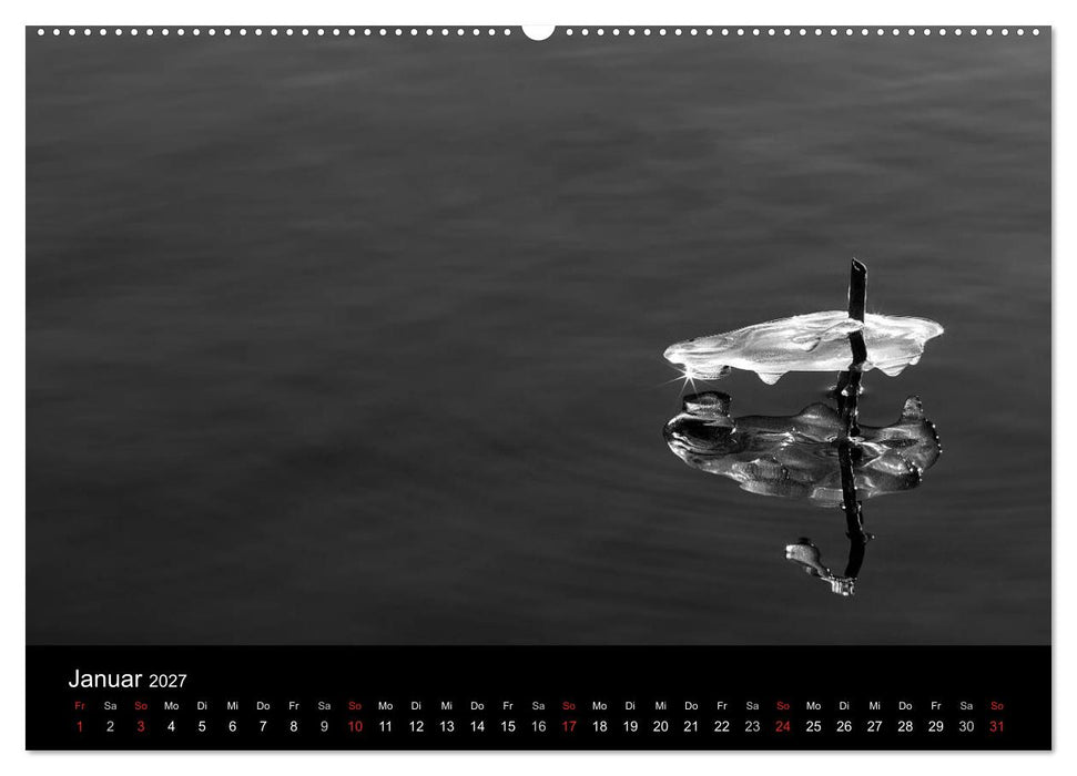 Das Licht in Schwarz und Weiß (CALVENDO Premium Wandkalender 2027)