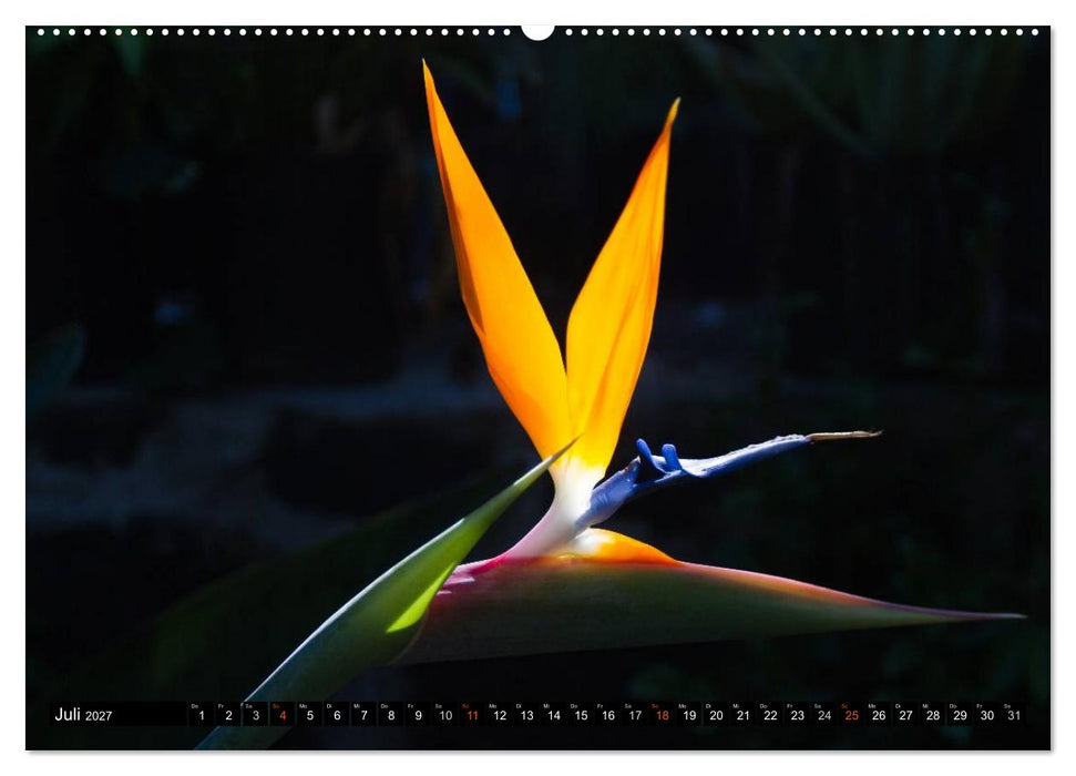 Hawai'i - Teil 2 (CALVENDO Premium Wandkalender 2027)