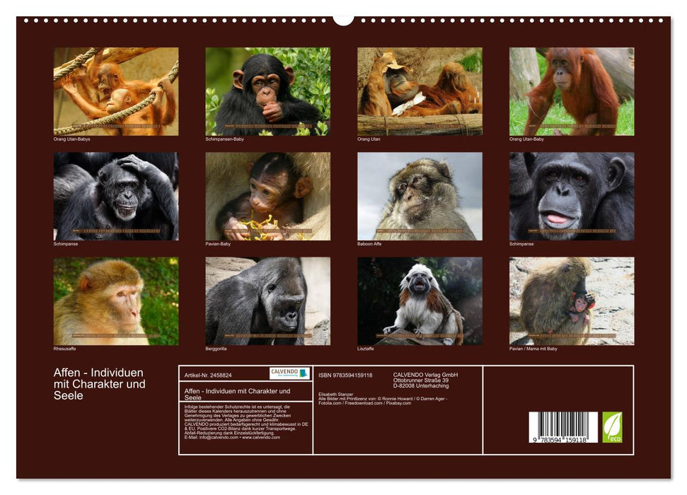 Affen - Individuen mit Charakter und Seele (CALVENDO Premium Wandkalender 2027)