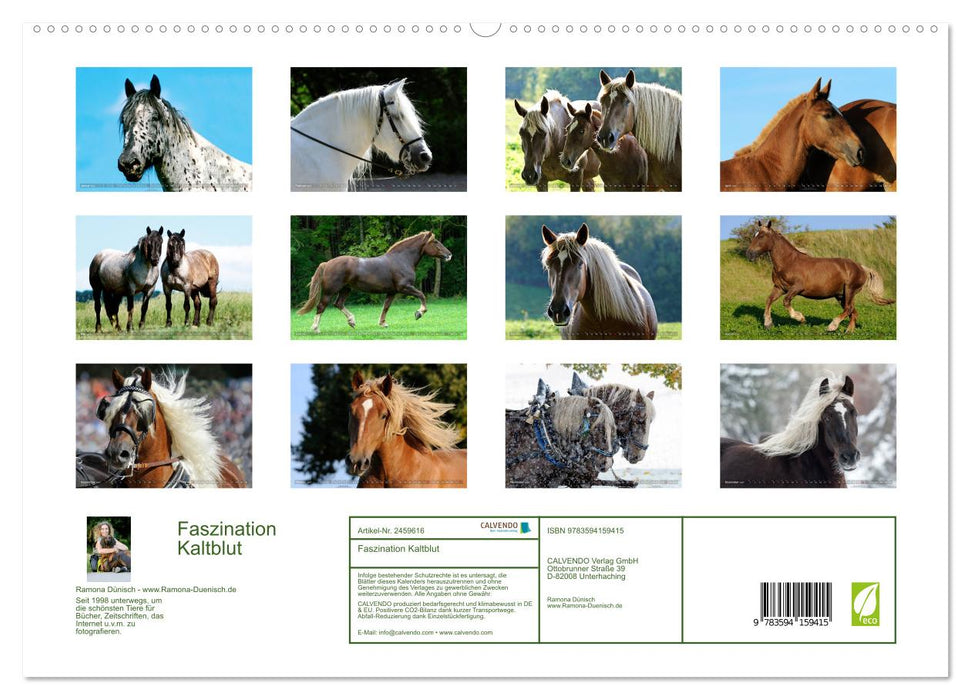 Faszination Kaltblut (CALVENDO Premium Wandkalender 2027)