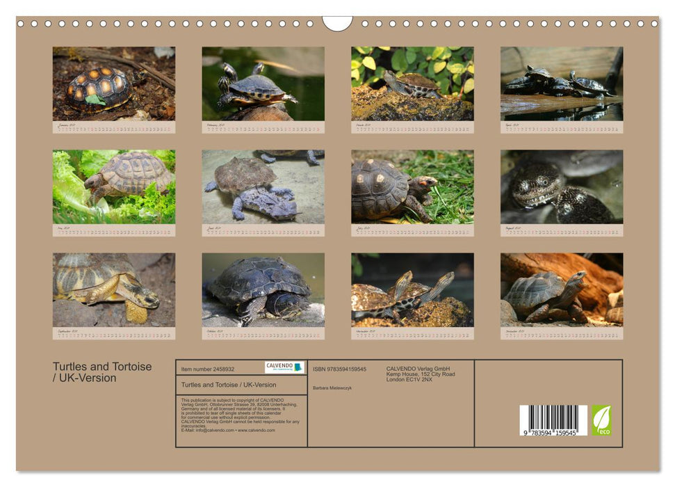 Turtles and Tortoise / UK-Version (CALVENDO Monthly Calendar 2027)