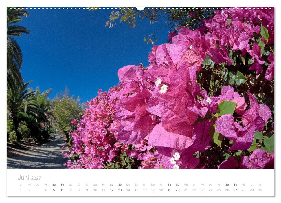 Sehnsucht nach Fuerteventura (CALVENDO Wandkalender 2027)