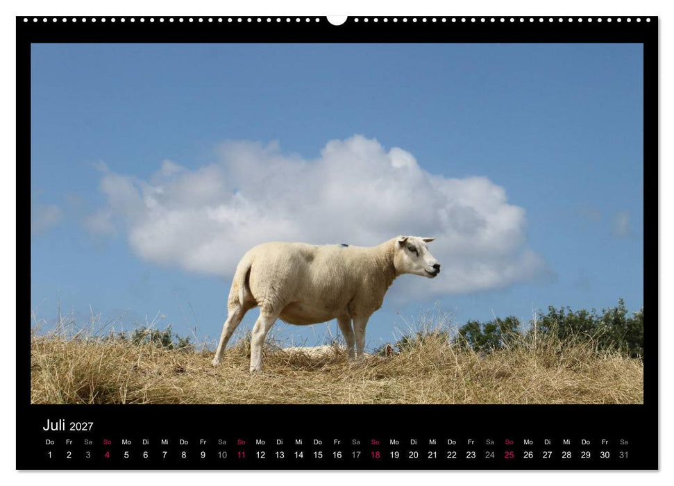Texel, eine Perle Hollands (CALVENDO Premium Wandkalender 2027)