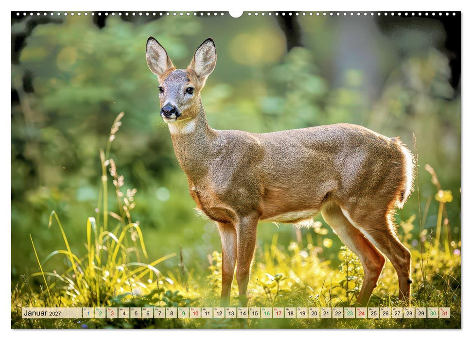 Jäger im Wald (CALVENDO Premium Wandkalender 2027)