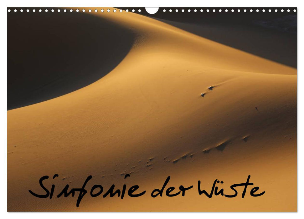 Sinfonie der Wüste (CALVENDO Wandkalender 2027)