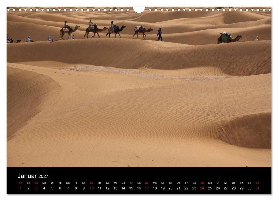 Sinfonie der Wüste (CALVENDO Wandkalender 2027)