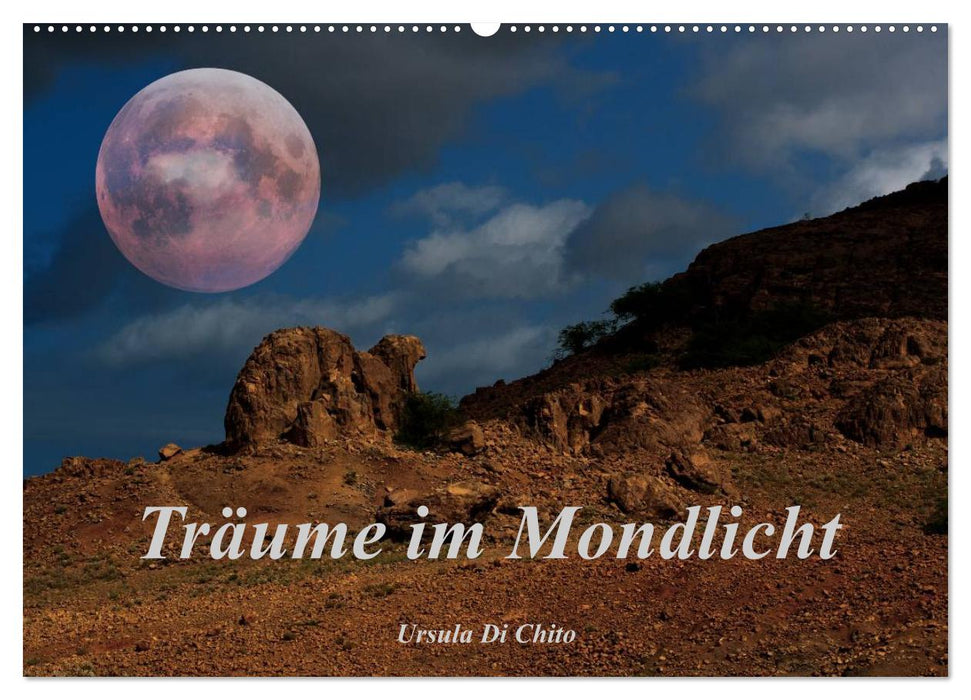 Träume im Mondlicht (CALVENDO Wandkalender 2027)