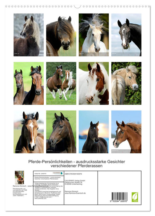 Pferde-Persönlichkeiten - ausdrucksstarke Gesichter verschiedener Pferderassen (CALVENDO Premium Wandkalender 2027)