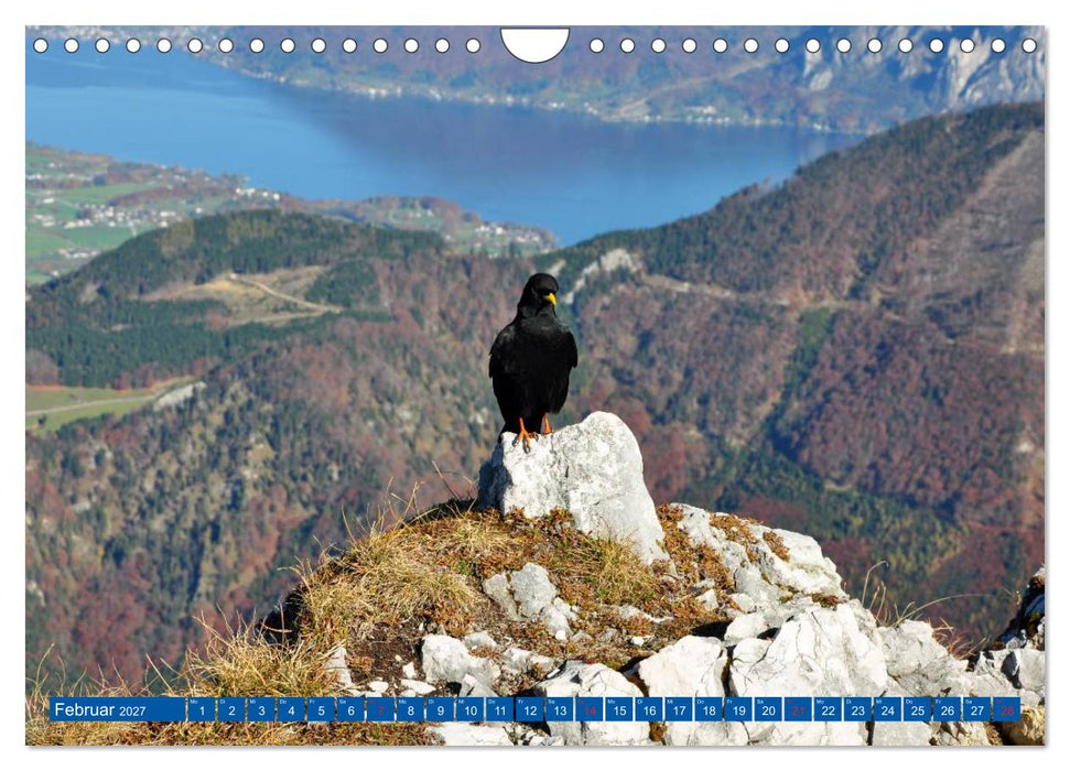 Der Berg und sein See (CALVENDO Wandkalender 2027)