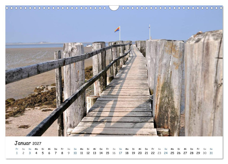 Föhr und Halligwelt 2027 (CALVENDO Wandkalender 2027)