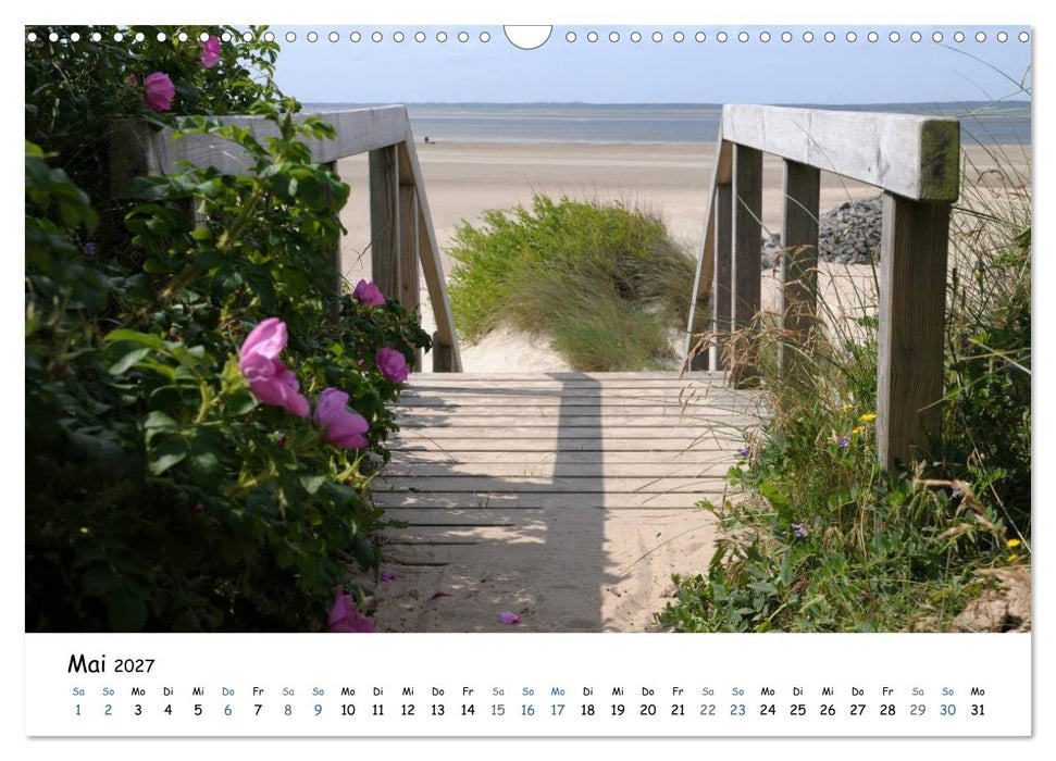 Föhr und Halligwelt 2027 (CALVENDO Wandkalender 2027)