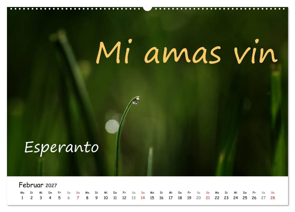 Ich liebe Dich (CALVENDO Premium Wandkalender 2027)