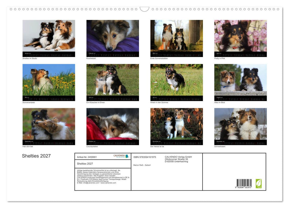 Shelties 2027 (CALVENDO Wandkalender 2027)