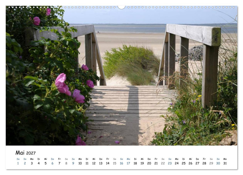 Föhr und Halligwelt 2027 (CALVENDO Premium Wandkalender 2027)