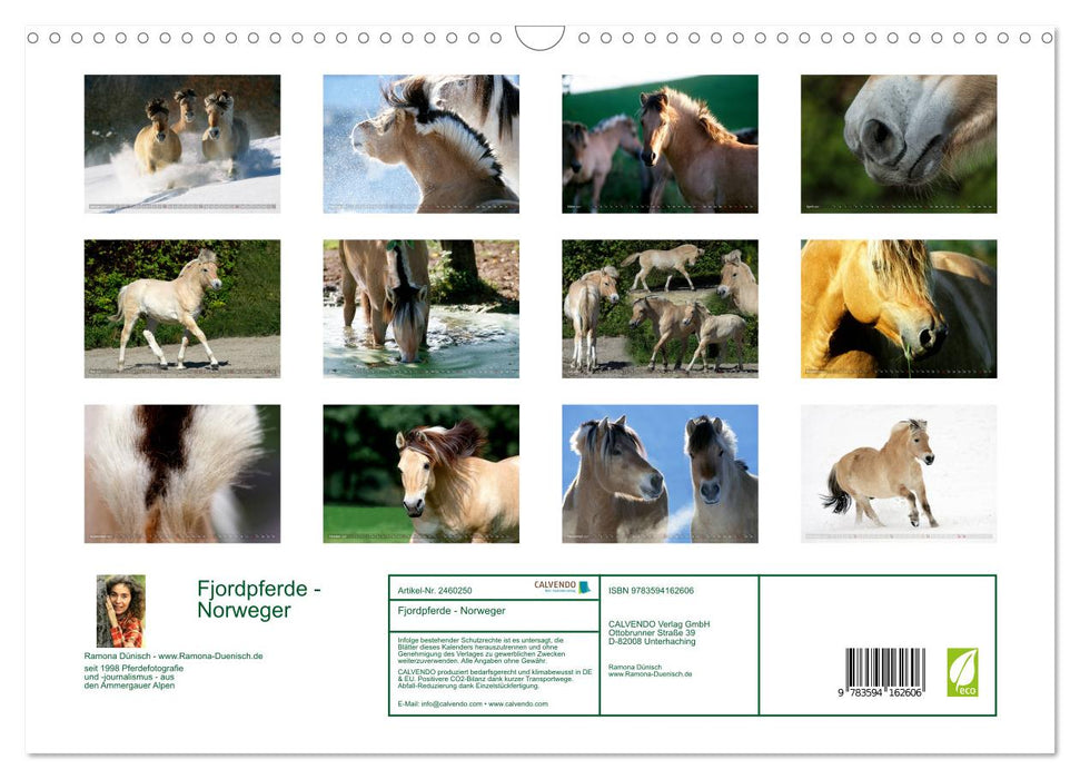 Fjordpferde - Norweger (CALVENDO Wandkalender 2027)