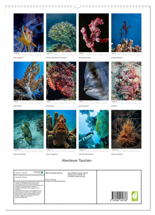 Abenteuer Tauchen (CALVENDO Premium Wandkalender 2027)
