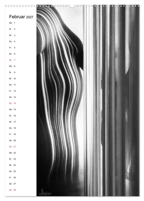 Akt abstrakt (CALVENDO Wandkalender 2027)