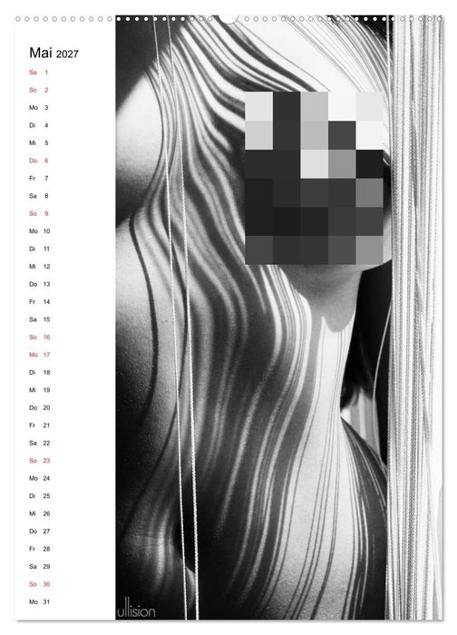 Akt abstrakt (CALVENDO Wandkalender 2027)