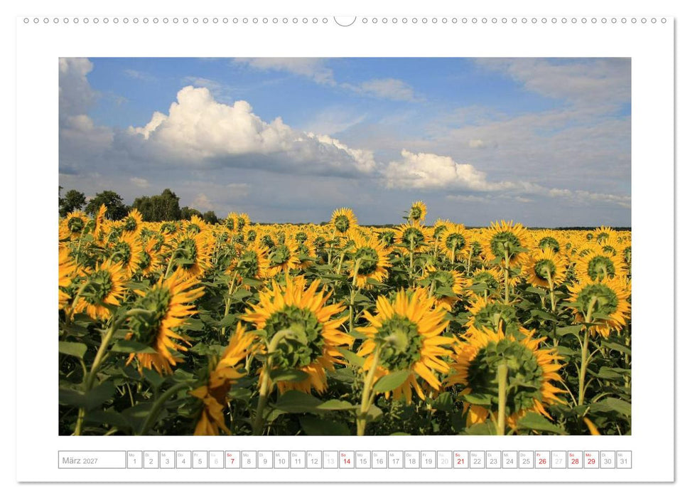 Sonnentage 2027 (CALVENDO Wandkalender 2027)