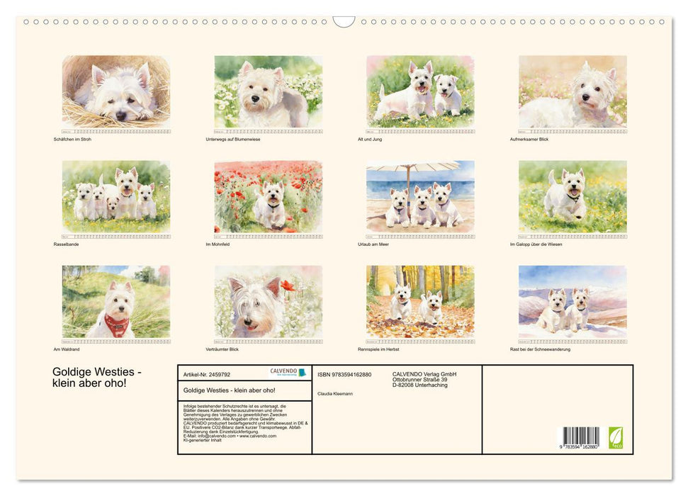 Goldige Westies - klein aber oho! (CALVENDO Wandkalender 2027)