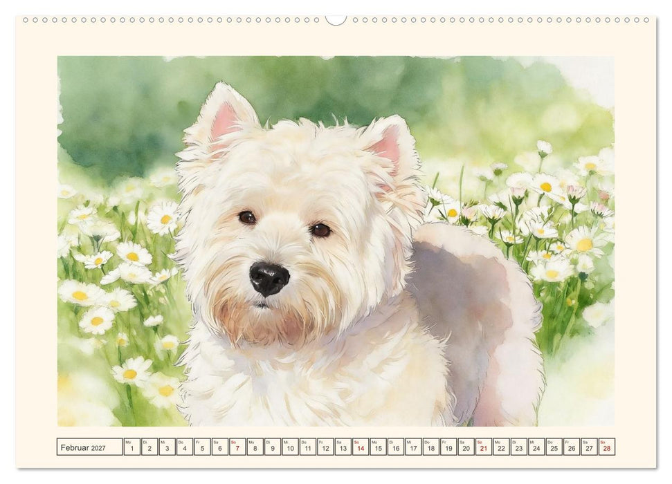 Goldige Westies - klein aber oho! (CALVENDO Wandkalender 2027)
