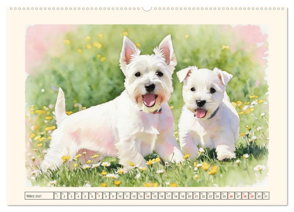 Goldige Westies - klein aber oho! (CALVENDO Wandkalender 2027)