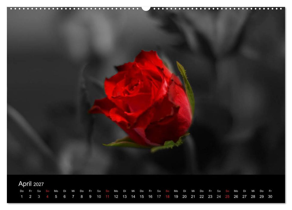 schwarz/weiß trifft farbe (CALVENDO Premium Wandkalender 2027)