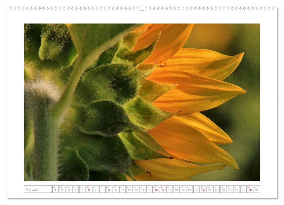 Sonnentage 2027 (CALVENDO Premium Wandkalender 2027)