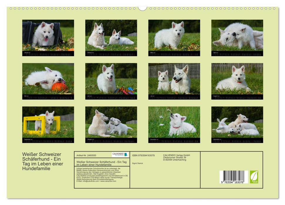 Weißer Schweizer Schäferhund - Ein Tag im Leben einer Hundefamilie (CALVENDO Premium Wandkalender 2027)
