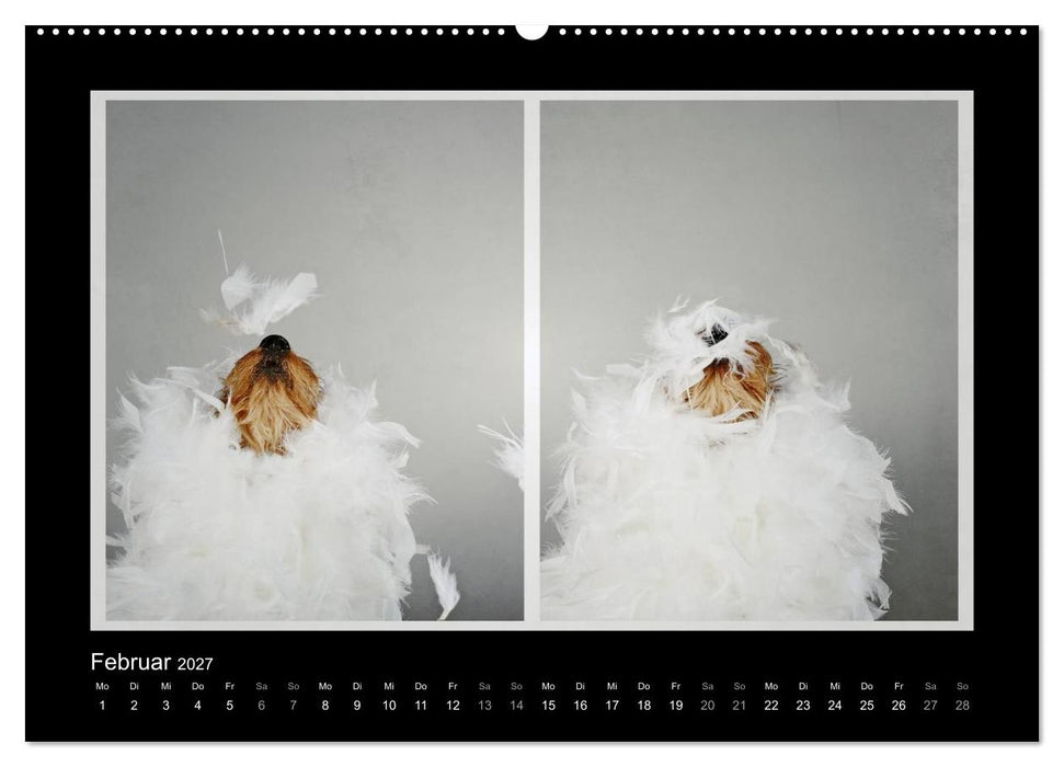 Elli Pirelli... aus dem Leben eines fröhlichen Pinscher-Dackel-Mädels (CALVENDO Premium Wandkalender 2027)