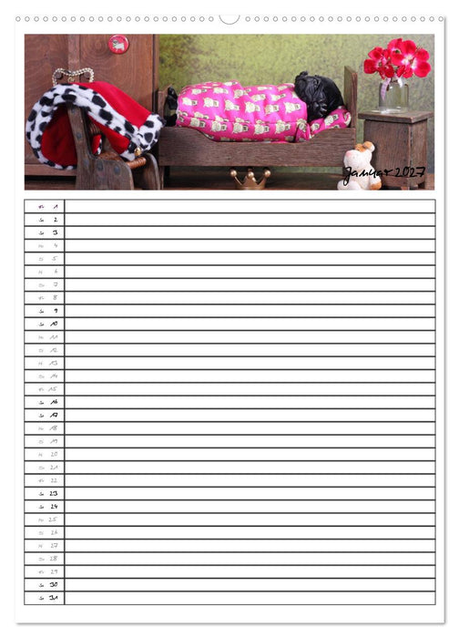 Der mopsige Familienplaner (CALVENDO Wandkalender 2027)