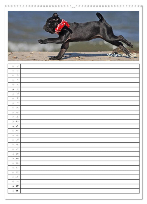 Der mopsige Familienplaner (CALVENDO Wandkalender 2027)