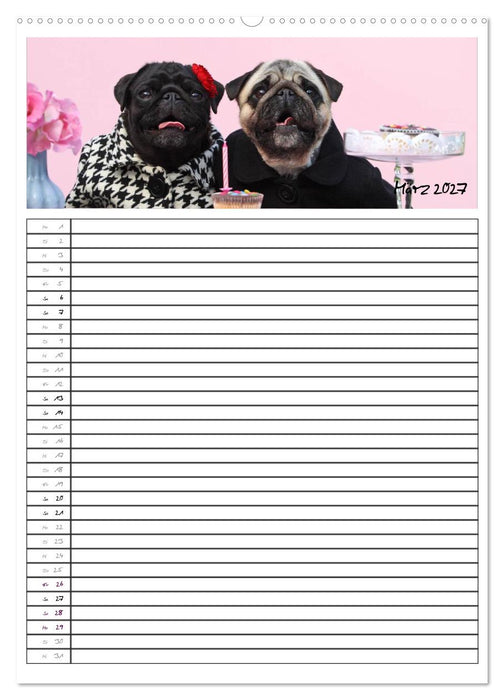 Der mopsige Familienplaner (CALVENDO Wandkalender 2027)