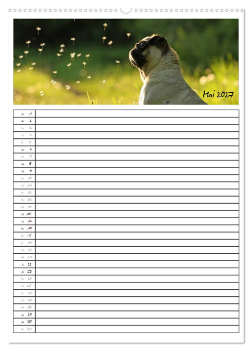 Der mopsige Familienplaner (CALVENDO Wandkalender 2027)