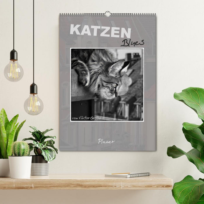 Katzen Blues / Planer (CALVENDO Wandkalender 2027)