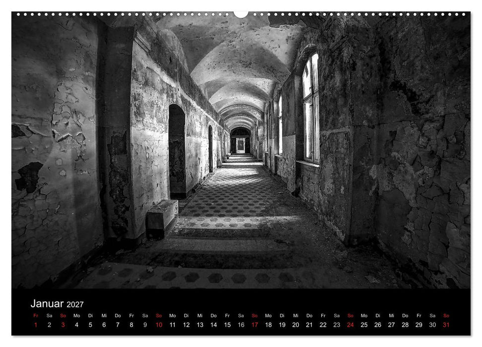 lost beauty (CALVENDO Wandkalender 2027)