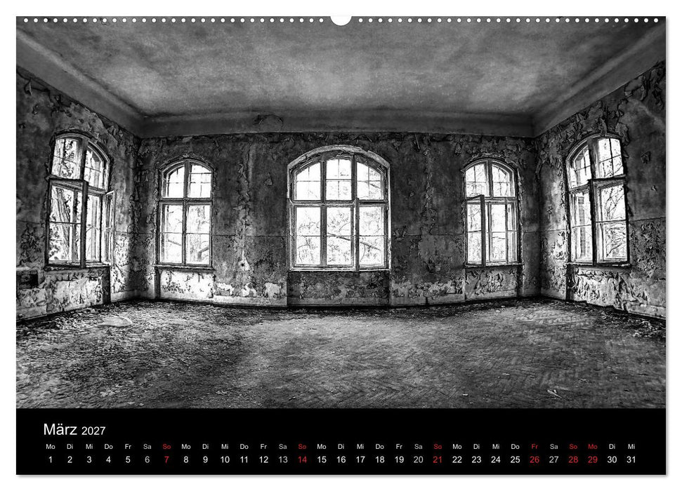 lost beauty (CALVENDO Wandkalender 2027)