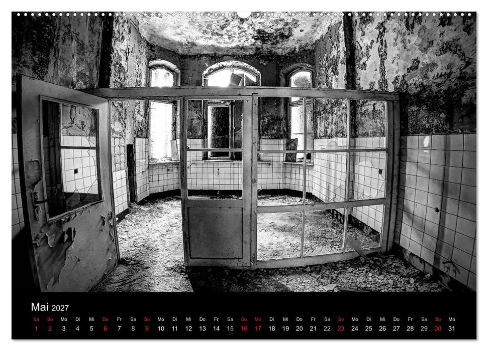 lost beauty (CALVENDO Wandkalender 2027)