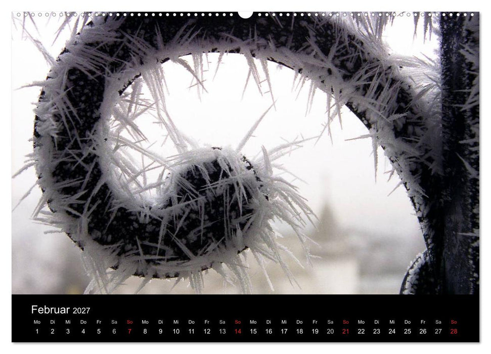 Jahreszeiten / 2027 (CALVENDO Wandkalender 2027)