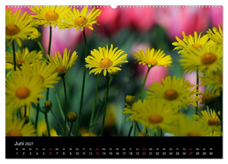 Jahreszeiten / 2027 (CALVENDO Wandkalender 2027)