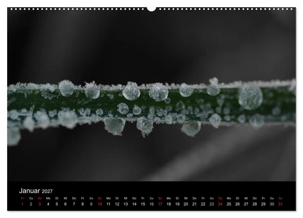 schwarz/weiß trifft farbe (CALVENDO Wandkalender 2027)