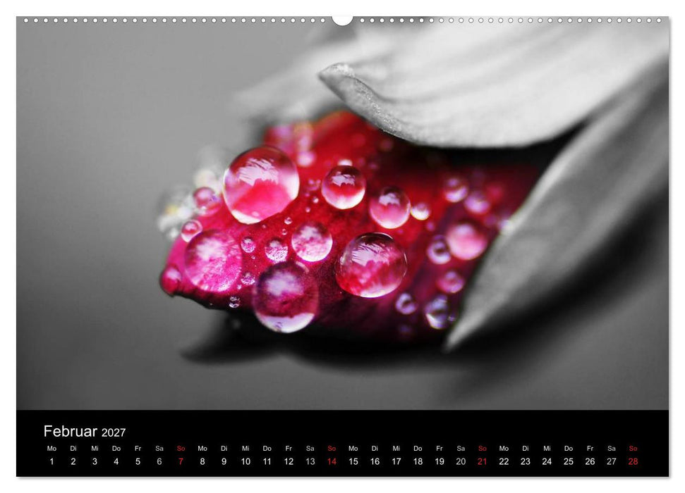 schwarz/weiß trifft farbe (CALVENDO Wandkalender 2027)