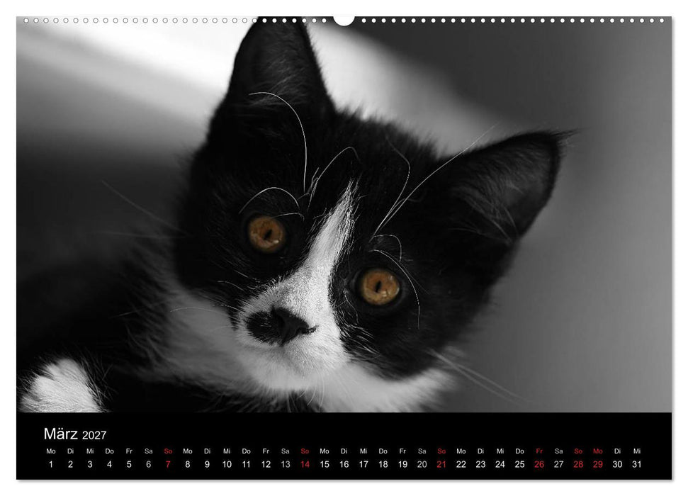schwarz/weiß trifft farbe (CALVENDO Wandkalender 2027)