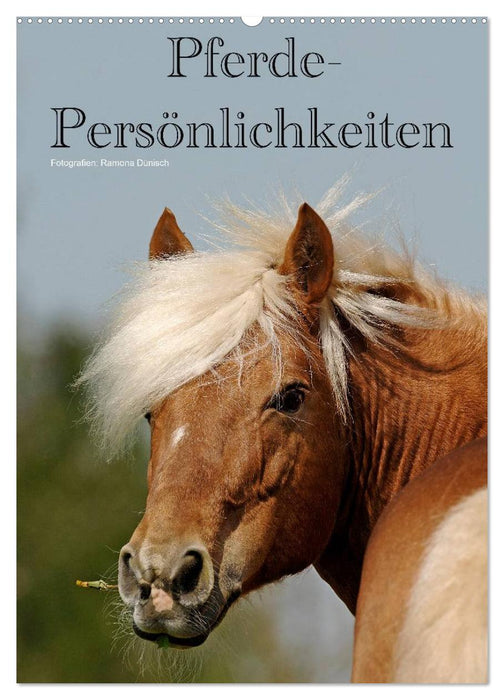 Pferde-Persönlichkeiten - ausdrucksstarke Gesichter verschiedener Pferderassen (CALVENDO Wandkalender 2027)