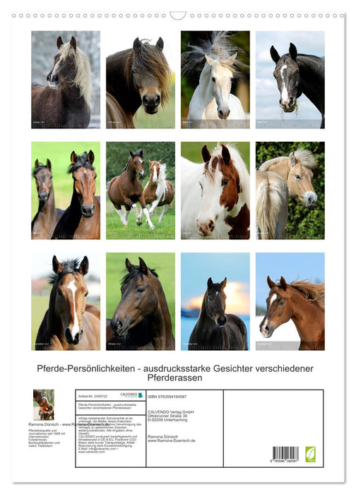 Pferde-Persönlichkeiten - ausdrucksstarke Gesichter verschiedener Pferderassen (CALVENDO Wandkalender 2027)
