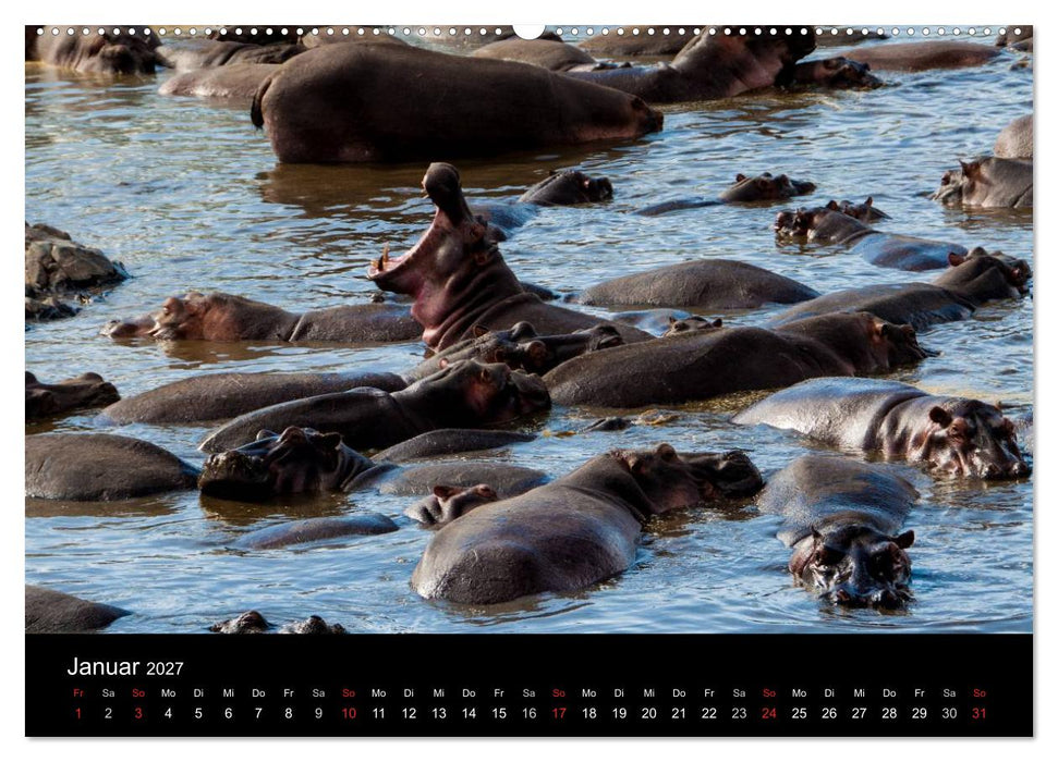 Wildes Afrika (CALVENDO Premium Wandkalender 2027)