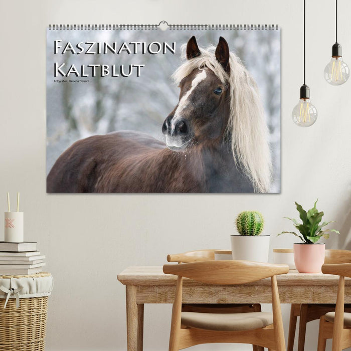 Faszination Kaltblut (CALVENDO Wandkalender 2027)
