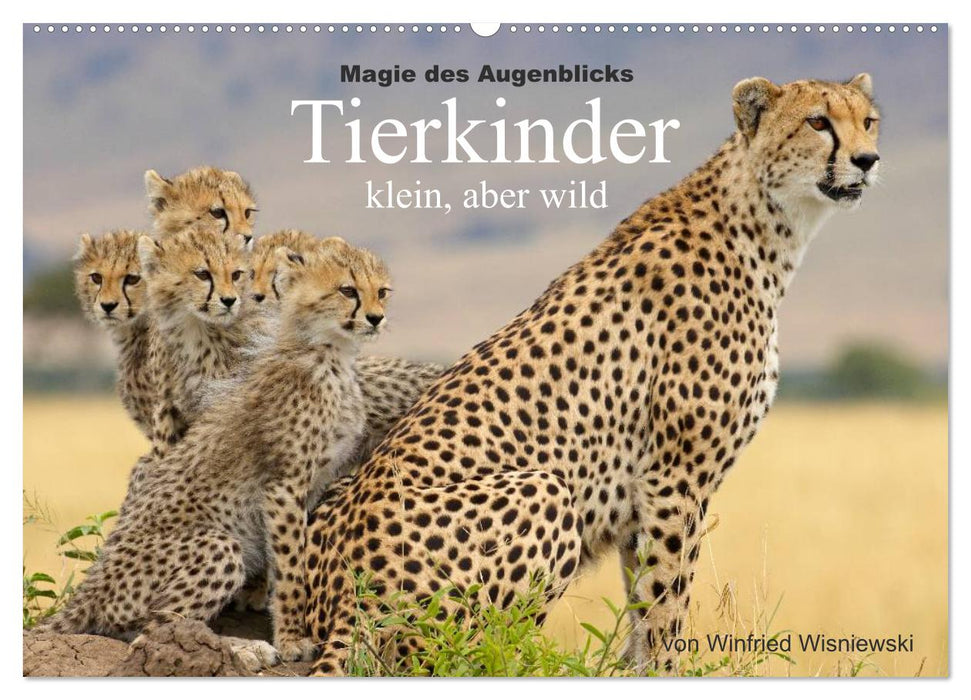 Magie des Augenblicks - Tierkinder - klein, aber wild (CALVENDO Wandkalender 2027)