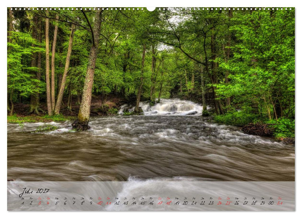 Das Selketal im Harz (CALVENDO Premium Wandkalender 2027)